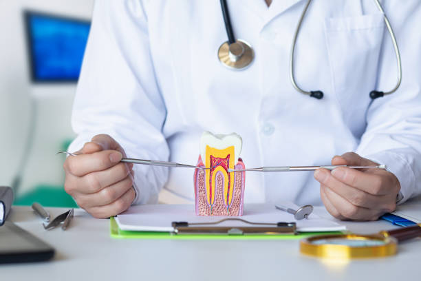 Best Emergency Treatment for Oral Infections in Industry, PA